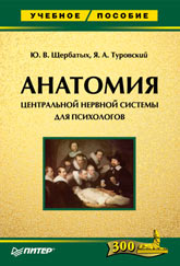  Книга Анатомия центральной нервной системы  для психологов: Учебное пособие. Щербатых