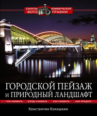 Купить Книга Городской пейзаж и природный ландшафт. Кокошкин К.П.