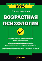 Купить Книга Возрастная психология. Краткий курс. Сорокоумова