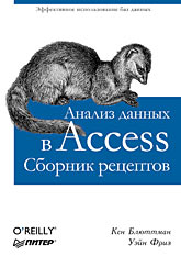  Книга Анализ данных в Access. Сборник рецептов. Блюттман